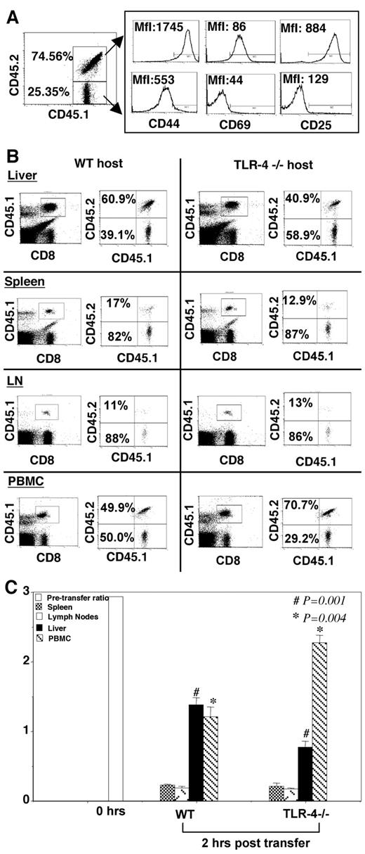 FIGURE 1. TLR-4 influences the recirculation of activated CD8+ T cells between liver and blood. The expression of the activation markers CD44, CD69, CD62L, and CD25 on activated OT1 T cells (CD45.1 × CD45.2) and naive CD8+ T cells (CD45.1) before injection is shown in A. The percentage of CD45.1/CD45.2 double-positive (activated) and CD45.1 single-positive (naive) OT1 cells among the total CD45.1 CD8+ cells from liver, spleen, peripheral lymph nodes (LN), and PBMCs of wt and TLR-4−/− mice is shown in B. C, Average (n = 5) of the ratio of activated to naive OT1 cells in spleen (▦), lymph nodes (▦), liver (▪), and peripheral blood (▧) of wt and TLR-4-deficient mice. The 0 h point (□) indicates the ratio of the cells before transfer.