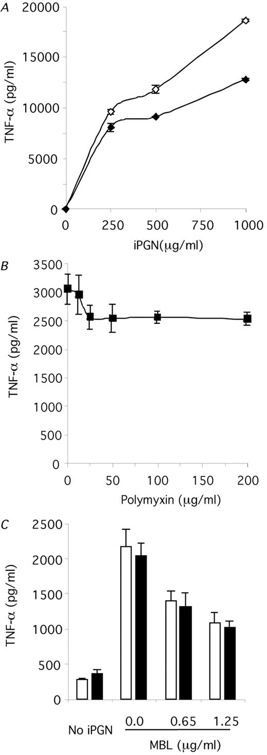 FIGURE 6. The effect of MBL on iPGN-induced TNF-α production by PMA-stimulated U937 human monocytic cells. A, Induction of TNF-α production by iPGN. Insoluble PGN induced TNF-α production in a concentration-dependent manner in both the absence (⋄) and the presence (♦) of polymyxin B sulfate (25 μg/ml). Polymyxin B sulfate reduced iPGN-induced TNF-α production. B, Effect of polymyxin B sulfate on TNF-α production in the presence of 125 μg/ml iPGN. A concentration of 25 μg/ml polymyxin B sulfate was sufficient to eliminate the residual effects of LPS. C, Effect of MBL on TNF-α production. MBL suppressed iPGN-induced (final concentration, 125 μg/ml iPGN) TNF-α production in a concentration-dependent manner in both the absence (□) and the presence (▪) of 25 μg/ml polymyxin B sulfate (by Dunnett’s mean comparison with control, p < 0.05). Each panel represents one of three experiments, and each data point is represented by its mean and SE (n = 3).