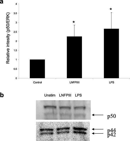 FIGURE 4. LNFPIII-Dex and LPS induce the accumulation of p50 (a). RAW264.7 cells were treated for 10 min with either 50 μg/ml LNFPIII-Dex or 1 μg/ml LPS. Levels of p50 were measured by Western blot, and quantitation was performed on a Kodak ISF440 imaging unit with Kodak 1D analysis software. Levels of p50 were normalized to an ERK control. Asterisks indicate p < 0.05 by t test (b). Representative Western blot used in analysis for a.