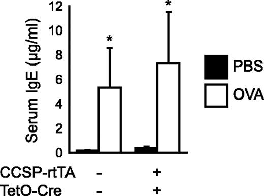 FIGURE 2. Atopic sensitization is not prevented by loss of IL-4Rα in Clara cells. Control mice (lacking the CCSP-rtTA and TetO-Cre transgenes) and mice with Clara cell-specific disruption of Il4ra induced by these transgenes were sensitized and challenged with PBS or OVA, and serum was analyzed for IgE content by ELISA. Values represent mean ± SEM for five to seven mice per group. ∗, p < 0.05 as compared with PBS sensitization and challenge.