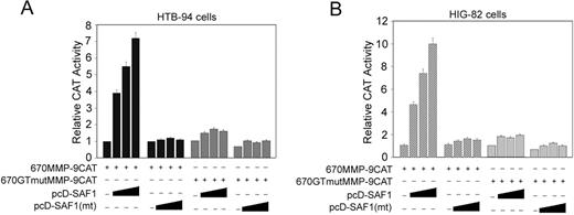 FIGURE 6. Dose-dependent stimulation of MMP-9 promoter by ectopic expression of SAF-1. A, HTB-94 chondrocyte cells were transfected with 1.0 μg of 670MMP-9CAT or 670GTmutMMP-9CAT reporter plasmid either alone or with increasing concentrations (0.1, 0.2, and 0.4 μg) of pcDSAF-1 or pcDSAF-1(mt) expression plasmid DNA. B, HIG-82 synoviocyte cells were cotransfected with 1.0 μg of either 670MMP-9CAT or 670GTmutMMP-9CAT reporter plasmid alone or with increasing concentrations (0.1, 0.2, and 0.4 μg) of pcDSAF-1 or pcDSAF-1(mt) expression plasmid DNA. Fold induction of the CAT activity in the cotransfected cells relative to that of reporter plasmid alone was determined and plotted as relative CAT activity. The result represents mean and SE of the mean derived from three independent experiments. Presence and absence of a specific plasmid are denoted by “+” and “−”, respectively.