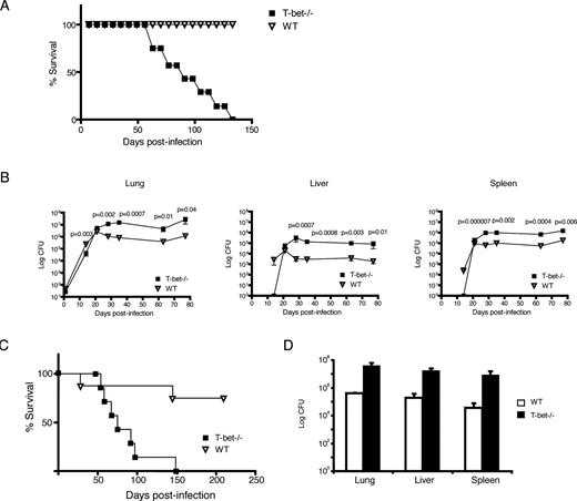 FIGURE 1. T-bet−/− mice are more susceptible to M. tuberculosis infection than WT mice. A, Mice were infected with a low dose of M. tuberculosis (∼30 CFU; n = 8) via the aerosol route. Seven mice per experimental group were monitored for survival. B, CFU were determined by plating lung, liver, and spleen homogenates at the indicated times following M. tuberculosis infection. The results represent mean + SEM of four mice per experimental group. Log transformation of CFU was performed before determining statistical significance by two-tailed Student’s t test. C, T-bet−/− and WT mice were monitored for survival following i.v. M. tuberculosis infection. D, Mycobacterial burden in the organs at 6 wk post-i.v. infection. Results of the organ mycobacterial burden are representative of four mice per strain (∗, p ≤ 0.03).