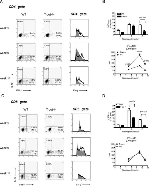 FIGURE 4. Decreased proportion of IFN-γ-producing T cells in the lungs of T-bet−/− mice during M. tuberculosis infection. Lung single-cell suspensions were stimulated with plate-bound anti-CD3/CD28 Abs and assayed for cytokine production by intracellular staining with anti-IFN-γ and anti-IL-10 Abs. A–C, Dot plots represent percentage of IFN-γ- and IL-10-positive cells within CD4 and CD8 gates. MFI of IFN-γ-positive cells is shown in brackets. Histograms represent IFN-γ-positive cells within CD4 and CD8 gates of T-bet−/− (solid gray) and WT (black line) mice. B–D, Graphs summarize the mean percentage + SEM of IFN-γ-positive cells and MFI of IFN-γ-positive cells within CD4 and CD8 gates, respectively. Statistical significance was determined by two-tailed Student’s t test (n = 4 mice/experimental group).