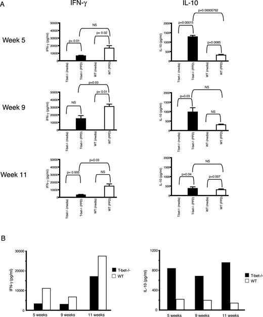FIGURE 5. Increased IL-10 production by interstitial lung cells from M. tuberculosis-infected T bet−/− mice. A, Lung cell suspensions were incubated in medium or stimulated with PPD for 96 h. The amount of secreted IFN-γ and IL-10 was determined by ELISA. The data represent mean + SEM of four mice per experimental group, and statistical significance was determined by two-tailed Student’s t test. B, IFN-γ and IL-10 production of enriched lung resident T cells from M. tuberculosis-infected T bet−/− and WT mice following in vitro stimulation with plate-bound anti-CD3. Assays were performed at 5, 9, and 11 wk following aerosol infection. Results, at each time point, are representative of three mice per strain.