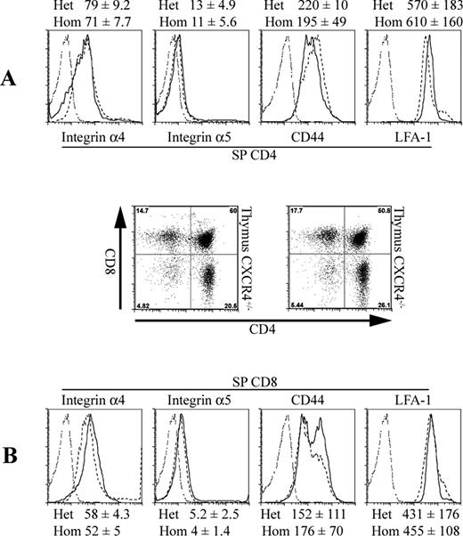 FIGURE 6. Absence of CXCR4 does not significantly affect the adhesion molecule expression profile of thymocytes. The levels of expression of α4 and α5 integrins, CD44 and LFA-1 are shown in SP CD4 (A) and SP CD8 (B) intrathymic cells from control and CXCR4−/− FTOC at day 14 of culture. For each histogram, the MFI value of heterozygote and homozygote thymocytes is shown. Isotype control (dotted histogram), CXCR4−/− (dashed histogram), and CXCR4+/− (solid histogram) are shown.