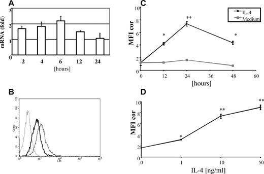 FIGURE 5. CysLT1R mRNA and protein expression. IL-4 increases steady-state levels of cysLT1R mRNA (A). THP-1 cells were stimulated with IL-4 (10 ng/ml) for up to 24 h and cysLT1R mRNA expression was measured by TaqMan analysis. Results are normalized to internal control (GAPDH expression) and presented as fold increase from control values (treated cells vs vehicle). The means ± SD of three different samples are shown. Flow cytometric analysis of cysLT1R surface expression. THP-1 cells were stimulated with IL-4 (10 ng/ml) for 24 h and labeled with anti-cysLT1R Abs or with isotype-matched control. Results of a single experiment, representative of at least three are presented (B). Dotted line represents isotype control Ab. Solid thick and thin lines represent labeling of medium- and IL-4-treated cells, respectively. Data from time-dependent (C) and dose-dependent (D) (ANOVA, p < 0.001) experiments are shown. Results are presented as mean fluorescence intensity corrected by subtracting isotype control values (MFI cor). The means ± SD of three experiments are shown. ∗, p < 0.01 and ∗∗, p < 0.001 in comparison to unstimulated controls.