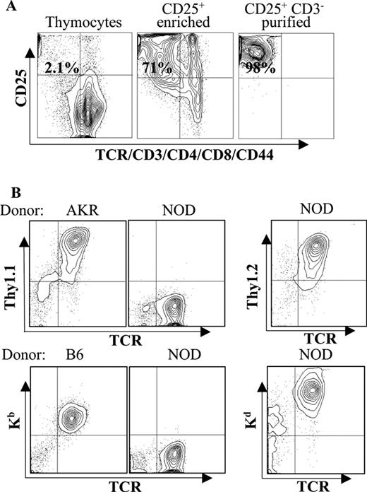 FIGURE 1. Reconstitution of the NOD.scid-RIP-B7.1 mice by pre-T cells from various donors. A, FACS profile of thymocytes, enriched CD25+ thymocytes, and purified thymic pre-T cells. B, FACS profiles of lymph node cells at the end of experiments (30 wk after pre-T cell transfer) from the NOD.scid-RIP-B7.1 mice reconstituted with pre-T cells, showing that T cells in all recipient mice were of donor origin.
