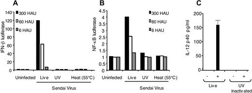 FIGURE 2. SV signaling is dependent on live virus. HEK293 cells expressing an IFN-β-luciferase reporter (A) or an NF-κB reporter (B) were infected with live, heat-inactivated, or UV-inactivated SV (6, 60, and 600 HAU); luciferase reporter gene activity was measured after 9 h and is depicted as fold induction relative to the reporter-only control. C, Purified plasmacytoid DCs (pDCs) from Flt-3L-derived C57BL/6 cultures were infected as indicated with 60 HAU of live or UV-inactivated SV for 16 h, and IL-12-p40 was measured by ELISA. Data are expressed as the mean ± SD. All experiments described were performed a minimum of three times and produced similar results.
