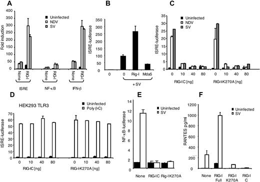 FIGURE 3. SV and NDV induce ISRE and NF-κB reporter activities via RIG-I. A–E, 293T cells or HEK293-TLR3 cells were transfected with the indicated reporter genes and cotransfected with full-length RIG-I, RIG-IC, or RIG-I-K270A. Cells were infected with SV (50 HAU) or NDV (50 HAU) or were treated with poly(I-C), where indicated, for 16 h, and luciferase reporter activities were measured. In all cases, data are expressed as fold induction relative to the reporter-only control and are the mean ± SD. F, 293T cells were transfected with full-length RIG-I, RIG-IC, or RIG-IK270A. Cells were infected with SV (50 HAU) for 16 h, and RANTES was measured by ELISA. All experiments described were performed a minimum of three times and produced similar results.