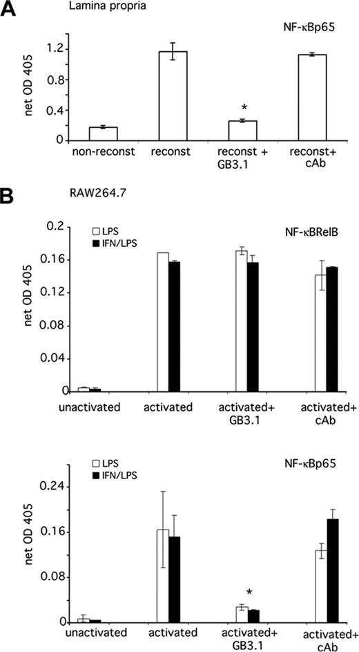 FIGURE 10. Anti-glycan Ab treatment inhibits activation of NF-κBp65 in RAW264.7 macrophages. Nuclear extracts were prepared from lamina propria cells from reconstituted mice 3 wk posttransfer (A) and RAW264.7 macrophages treated with 1 μg/ml LPS (with and without priming with IFN-γ) for 60 min in the presence of anti-glycan Ab or a control Ab (B). Twenty micrograms of nuclear lysate protein was incubated in wells coated with consensus NF-κB binding oligonucleotide sequences, and bound protein was measured using anti-p65 or anti-RelB. ∗, p < 0.05 between reconstituted, untreated vs reconstituted, anti-glycan Ab-treated mice (n = 3) (A) or LPS-activated, untreated vs LPS-activated, anti-glycan Ab-treated macrophages (B).