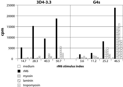 FIGURE 1. Cross-reactivity of T cell clones was proportionate to the stimulation index of streptococcal rM6 protein. Cross-reactivity of T cell clones G4s and 3D4-3.3 was measured via [3H]thymidine uptake in cpm and compared with the stimulation index of rM6 protein. With the increase in stimulation index shown for rM6 protein, the clones demonstrated increased cross-reactivity with human cardiac myosin, laminin, or tropomyosin.