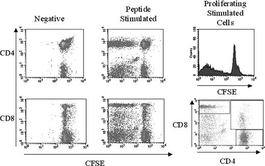 FIGURE 2. Proliferation of memory cells. PBMC from vaccinees 6 mo after vaccination with regimen FFM were stained with CFSE and stimulated in vitro for 6 days. Using 7-AAD to exclude dead cells, the proliferating population of cells in this individual was found to be CD4 (38.3%), CD8 (22.8%), and CD4/CD8 double positive (7.7%) of the proliferating cells.