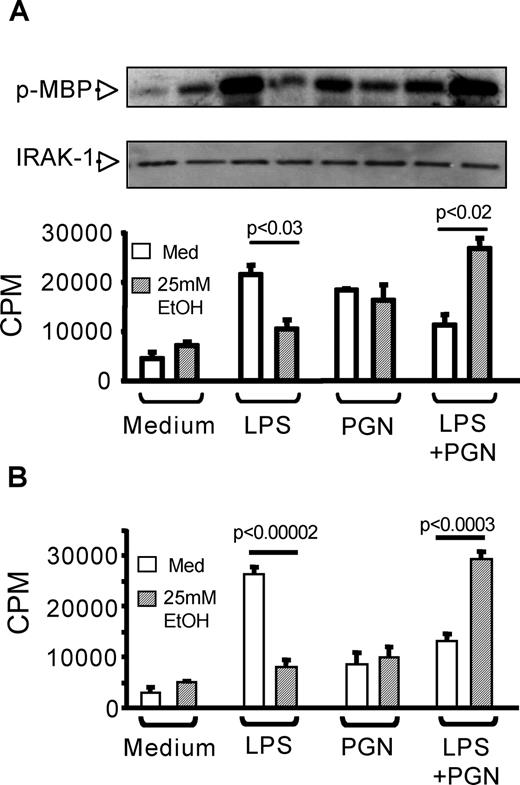 FIGURE 3. The effect of alcohol on IRAK-1 kinase activity in the presence of TLR2 and/or TLR4 stimulation. Cells were stimulated with LPS (1 μg/ml), PGN (1 μg/ml), or their combination in the presence or absence of 25 mM ethanol for 15 min. IRAK-1 protein was immunoprecipitated from equal amounts of total cellular protein of CHO/CD14/TLR2 cells (A) or normal human monocytes (B). The immunoprecipitated protein was subjected to an in vitro kinase reaction using MBP-based assay as described in Materials and Methods. A, Twenty microliters of the kinase reaction from CHO/CD14/TLR2 cells was electrophoresed and subjected to autoradiography. A representative gel of three different experiments is shown. Similar amounts of immunoprecipitated IRAK-1 is shown following various treatments. The phosphorylation of MBP was also determined using a scintillation counter. The data are represented as mean cpm ± SE (n = 4). B, IRAK-1 kinase activity in normal human monocytes is depicted. The graph demonstrates the amount of phosphorylated MBP using a scintillation counter representing IRAK-1 kinase activity (n = 3) as mean cpm ± SE.