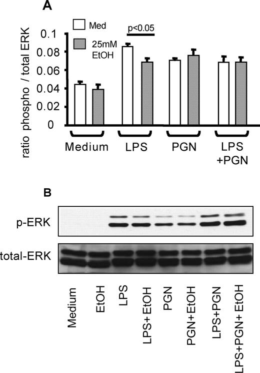 FIGURE 6. Acute alcohol inhibits TLR4-induced phosphorylation of ERK1/2 kinase. A, Normal human monocytes were stimulated with purified LPS (1 μg/ml) or PGN (1 μg/ml) or their combination for 15 min in the presence or absence of 25 mM alcohol. Phosphorylated and total ERK1/2 kinase levels were detected by using a specific ELISA. The graph shown depicts the ratio of phospho:total ERK in each sample. Mean ± SD of four experiments is shown. B, CHO/CD14/TLR2 cells were stimulated, and 30 μg of total cell lysates were subjected to Western blot analysis with phospho-ERK (top panel) or total ERK Ab (bottom panel).