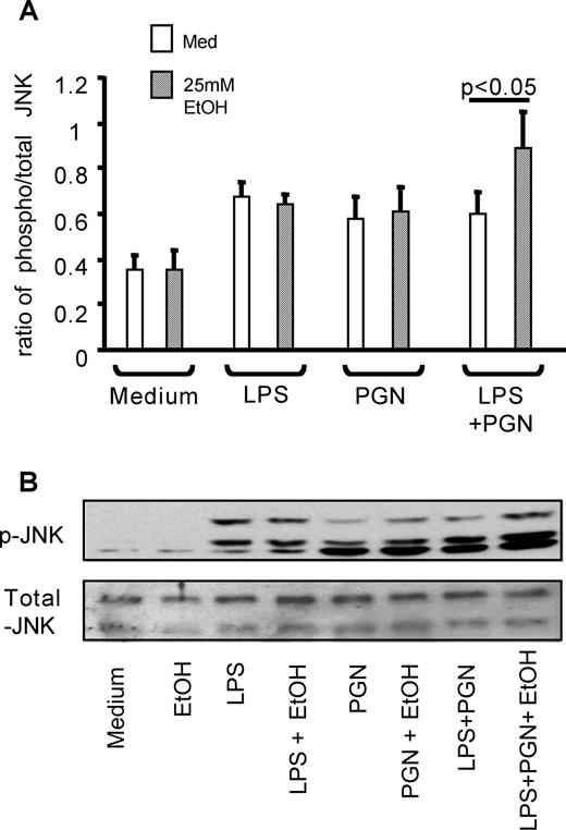 FIGURE 7. Acute alcohol augments TLR2- plus TLR4-induced phosphorylation of JNK. A, Normal human monocytes were stimulated with purified LPS (1 μg/ml) or PGN (1 μg/ml) or their combination for 15 min in the presence or absence of 25 mM alcohol. Phosphorylated and total JNK kinase levels were detected by using a specific ELISA. The graph shown depicts the ratio of phospho:total JNK as mean ± SD of four experiments in each sample. B, CHO/CD14/TLR2 cells were stimulated, and 30 μg of total cell lysates were subjected to Western blot analysis with phospho-JNK (top panel) or total JNK Ab (bottom panel).