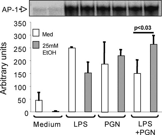 FIGURE 8. AP-1 binding is increased by acute alcohol in the presence of TLR2 plus TLR4 stimulation. CHO/CD14/TLR2 cells were stimulated with purified LPS (1 μg/ml) or PGN (1 μg/ml) or their combination for 1 h in the presence or absence of 25 mM alcohol. Nuclear extracts were subjected to an EMSA using a labeled AP-1 oligonucleotide. A 20-fold excess of the unlabeled AP-1 fragment was included as a cold competitor. A representative EMSA of a total of three experiments is shown here. Densitometric analysis of the AP-1 bands presented as mean ± SD of three experiments.