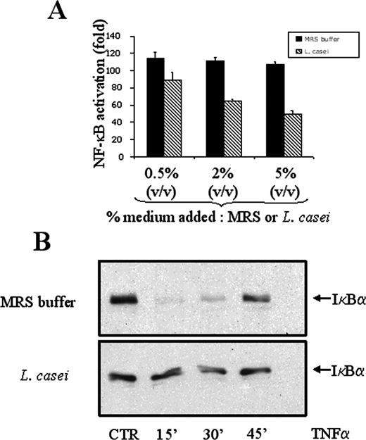 FIGURE 6. Inhibition of TNF-α-induced NF-κB activation by L. casei. A, HEK293 cells were preincubated overnight with L. casei or MRS buffer (control medium) before stimulation for 4 h with TNF-α. Three bacterial concentrations were used: 5.106, 2.107, or 5.107 bacteria/ml. B, HEK293 cells were preincubated overnight with L. casei or MRS buffer (control medium) before stimulation for various times (15, 30, or 45 min) with TNF-α, followed by lysis of the cells. The I-κBα protein content was determined by Western blotting using a polyclonal anti-human I-κBα Ab. CTR, Control.