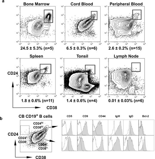 FIGURE 3. Identification of CD24high CD38high B cells in immune tissues of healthy individuals. a, MNCs from BM, CB, PB, spleen, tonsil, and LN were labeled with anti-CD19, CD24, and CD38 mAb to identify and quantitate CD24highCD38high B cells. The values indicate the mean frequency (± SEM) of CD24highCD38high B cells, defined by the illustrated gate, detected in the indicated number of tissue samples. b, MNCs from cord blood were labeled with anti-CD19, CD24 and CD38 mAb. The CD24highCD38high and CD24+CD38+ B cell populations were identified using the indicated gates (left panel) and expression of the indicated molecules on both populations was then determined (right panel). Fluorescence was measured on a log10 scale.
