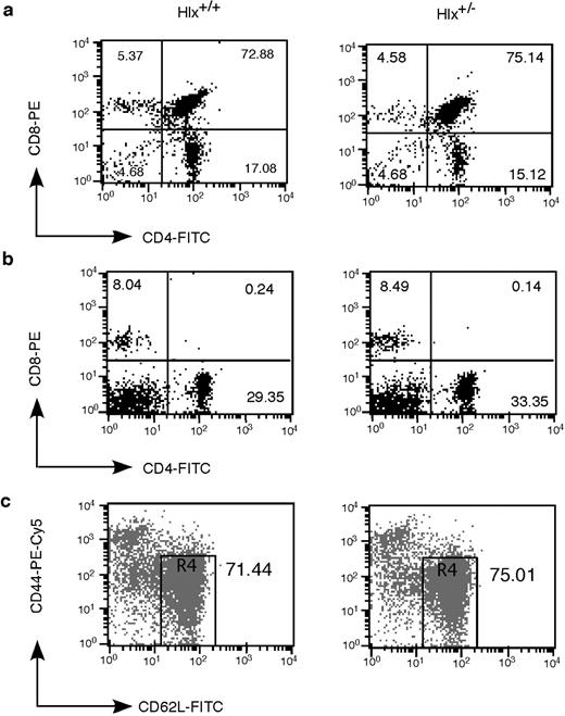 FIGURE 6. Thymic and peripheral T cell surface phenotypes of wild-type and Hlx+/− heterozygous mice. a, Thymocytes from wild-type and Hlx+/− mice were stained for CD4 and CD8. The numbers in the plots indicate the percentage of each cell population. b, Upper panel, Spleen cells were stained for CD4 and CD8, and the percentages of single positive cells are shown. Lower panel, Spleen cells were stained for CD4, CD44, and CD62L. Dot plots show CD44 and CD62L staining on gated CD4 T cells. The numbers indicate the percentages of naive populations (CD44lowCD62Lhigh) on the gated CD4 T cells.