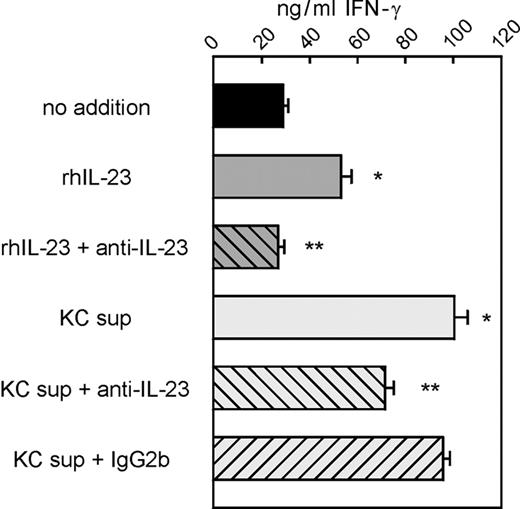 FIGURE 4. Keratinocyte-derived IL-23 amplify the IFN-γ production by memory T cells. After a first round of stimulation with plate-bound CD3/CD28, triplicate cultures of CD4-positive memory T cells were stimulated for a second time in the same fashion, but this time in the absence or presence of rIL-23 or concentrated supernatant of stimulated keratinocytes. Blocking anti-IL-23 Ab was added to neutralize the bioactivity of IL-23, using mouse IgG2b as isotype control. After 3 days the supernatant of the stimulated T cells was harvested and the IFN-γ levels were measured by ELISA. The average of triplicate samples ± SD is shown and is representative of two independent experiments. Significant increase (∗) compared with the sample without additions; significant inhibition (∗∗) of the blocking Ab.