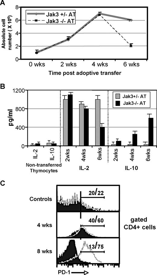 FIGURE 4. Jak3−/− CD4+ thymocytes undergo homeostatic proliferation and acquire a “regulatory” T cell phenotype in Rag2−/− hosts. A, 2, 4, and 6 wk following AT of 1 × 106 CD4+ thymocytes, splenocytes from Rag2−/− recipients were analyzed, and absolute CD4+ T cell numbers were calculated from four mice at each time point (mean ± SD). Data are representative of two independent experiments. Jak3+/− AT and Jak3−/− AT indicate cells from recipients that received Jak3+/− or Jak3−/− CD4+ thymocytes, respectively. B, 2, 4, and 6 wk following AT, splenocytes from Rag2−/− recipients were stimulated, and supernatants were analyzed for IL-2 and IL-10 by ELISA. Freshly isolated CD4+ SP thymocytes from Jak3+/− (gray bars) or Jak3−/− (black bars) mice were stimulated with 1 μg/ml PMA plus 5 μg/ml α-CD3 for 36 h as an indication of initial cytokine production before AT. Data shown represent one of four experiments performed. C, 4 and 8 wk following AT, splenocytes from Rag2−/− recipients that received Jak3+/− (solid histograms) or Jak3−/− (gray lines) thymocytes were stained, and PD-1 expression on gated CD4+ cells is shown. Control cells (top panel) are freshly isolated CD4+ SP thymocytes from Jak3+/− (solid histogram) or Jak3−/− (gray line) mice. Numbers indicate the percentages of PD-1+ Jak3+/− (left number) or Jak3−/− (right number) cells. Data shown are from one of four experiments.