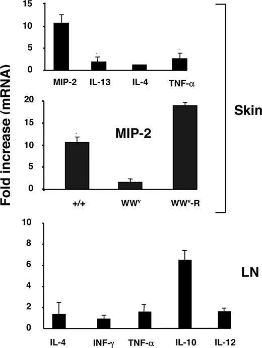 FIGURE 1. Mosquito bites selectively induce MIP-2 in skin and IL-10 in LNs. Real-time RT-PCR was used to measure the changes in mRNA levels of indicated cytokines and chemokines in the skin of C57BL/6 mice, and MIP-2 in the skin of +/+, W/Wv, and W/Wv-R mice collected 3 h after exposure to mosquito bites. The relative mRNA levels of cytokines genes were measured using real-time RT-PCR in LNs of C57BL/6 mice harvested 24 h after mosquito bites. The expression levels were normalized to the endogenous control gene β-actin, and the relative expression levels were calculated using the uninfected animal as a calibrator. Three independent experiments were performed and the means ± SD are shown.