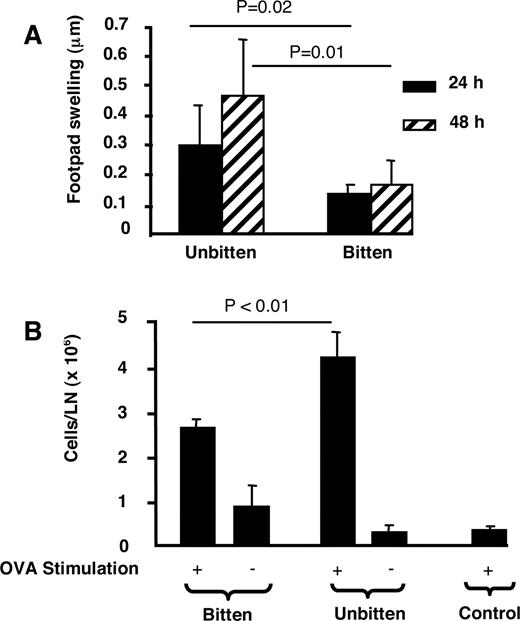 FIGURE 2. Down-regulation of the DTH response by mosquito bites. A, Naive C57BL/6 mice were subjected or not to mosquito bites and immediately after were given s.c. injections of 50 μg of OVA emulsified in CFA in both sides of the base of the tail. DTH reactions were induced 7 days later by s.c. injection of aggregated OVA in the left hind footpad. The right one was injected with saline. Footpad thickness was assessed 24 and 48 h later by subtracting values given by saline-injected footpads. Values represent the mean ± SD of the swelling response seen in groups of mice five to seven in number. B, LNs from the same mice were harvested 48 h after the elicitation of the DTH response and cells were counted. Represented are the numbers of cells in LNs corresponding to the OVA-challenged (+) and PBS-challenged (−) footpads. Values represent the mean ± SD of lymph node cells seen in various groups of mice (five to seven mice per group).