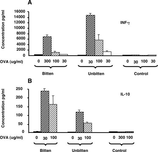 FIGURE 3. Regulation by mosquito bites of cytokine responses during the DTH reaction. LN cells from mice treated according to the same protocol as in Fig. 2, were incubated in triplicate in the presence of various concentrations of OVA and the supernatants were harvested 48 h later and tested for their content in IL-10 (B) and IFN-γ (A) measured by ELISA. Differences between values given by different groups of mice corresponding to the same OVA concentrations were all significant with 0.01 < p < 0.005.