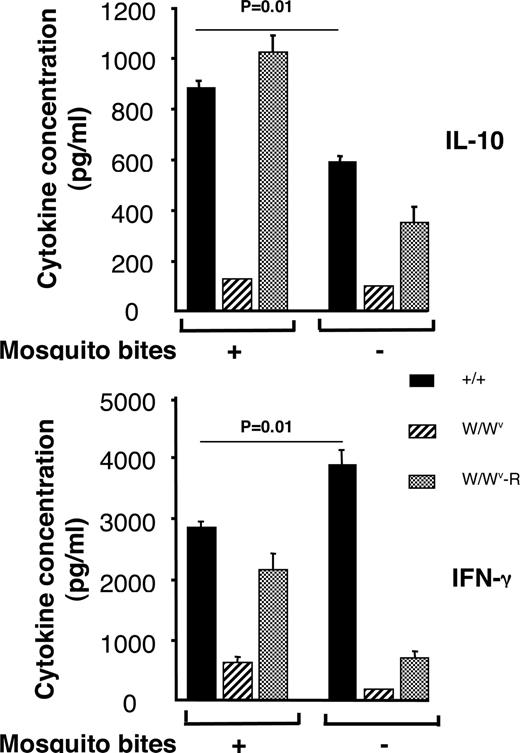 FIGURE 6. Regulation of cytokine response by mosquito bites is dependent on mast cells. Wild-type (+/+), W/Wv, and mast cell-reconstituted W/Wv mice were exposed or not to mosquito bites at the sensitization phase with OVA. LN cells harvested 48 h after challenge with OVA were incubated with OVA and after 48 h of culture, IL-10 and IFN-γ were measured in the culture supernatants by ELISA. Data are representative of two independent experiments and the values represent the mean ± SD from five mice per group.