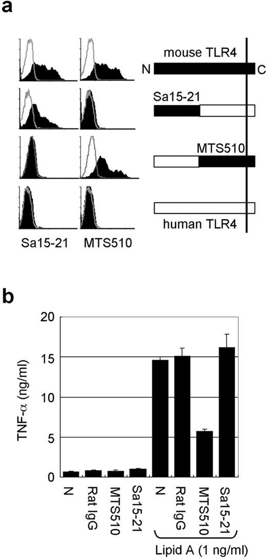 FIGURE 1. Characterization of two distinct mAbs to TLR4/MD-2, Sa15-21 and MTS510. a, A human kidney cell line, 293T, was transfected with expression vectors encoding the indicated molecules in conjunction with mouse MD-2. Harvested cells were stained with biotinylated MTS510 or Sa15-21, as indicated, followed by streptavidin-PE. Open histograms depicted the samples stained with the second reagent alone. The right scheme stands for the extracellular domain of mouse (▪), human (□), and chimeric TLR4. b, Mouse macrophage cell line RAW264.7 was preincubated with indicated mAbs (20 μg/ml) for 30 min and stimulated with lipid A (1 ng/ml) for 24 h. Concentrations of TNF-α in the culture supernatants were determined by ELISA. Results are shown as the mean value with SEs from triplicate wells.