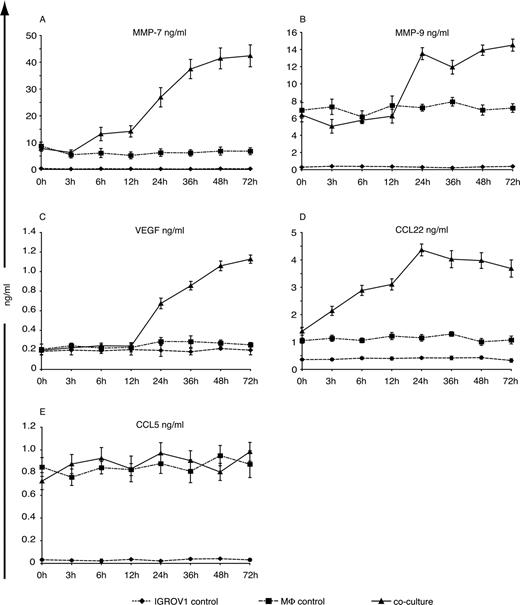 FIGURE 3. MMP, growth factor, and chemokine protein secreted into culture supernatant. IGROV1 alone (♦), macrophage alone (▪), or coculture supernatants (▴) were harvested at the time points indicated. Protein concentrations were measured by ELISA. Values represent mean ± SD (n = 3). MMP-7 (A), MMP-9 (B), VEGF (C), CCL22 (D), and CCL5 (E).