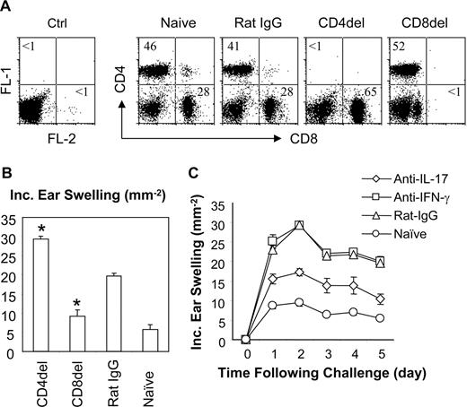 FIGURE 5. The role of IL-17 in CD8+ T cell-mediated CHS. A, Mice were depleted of CD4+ (CD4del) or CD8+ (CD8del) T cells by in vivo injection of specific Abs. The efficiency of depletion was determined by flow cytometry analysis of the draining lymph node cells. Numbers indicate percentages of positive cells. B, Mice were depleted of CD4+ (CD4del) or CD8+ (CD8del) T cells and then sensitized. CHS was measured following challenge. ∗, p < 0.05. C, Mice were depleted of CD4+ T cells and sensitized. The mice were then treated before challenge with anti-IL-17, IFN-γ Ab, or control rat IgG. The treatment with anti-IL-17 Ab significantly reduces CHS at all time points (p < 0.05). The data are shown as mean + SD of three to four mice per group and are representative of two to three independent experiments.