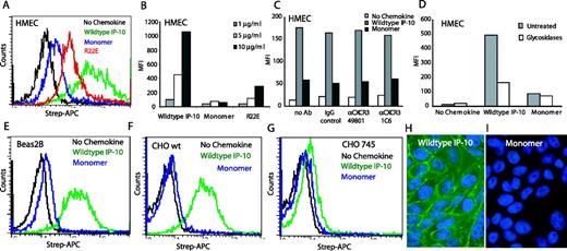 FIGURE 6. Binding of wild-type (wt), monomeric, and R22E IP-10 to endothelial and epithelial cells. Cells (HMEC, Beas2B, and CHO) were incubated for 1 h at 37°C with the indicated concentration of biotinylated wild-type, monomeric, or R22E IP-10. After the cells were washed, binding was measured by flow cytometry using Streptavidin-allophycocyanin (Strep-APC; A–G) or by immunofluorescence using Streptavidin-FITC (H and I). A, Flow cytometry. Binding of wild-type, monomeric, and R22E IP-10 to HMEC. Representative flow diagram at 10,000 ng/ml IP-10. B, Quantification of binding to HMEC. Mean fluorescent intensity (MFI) at indicated concentrations of IP-10 is shown. C, CXCR3 Ab blocking. Mean fluorescent intensity at 5000 ng/ml IP-10 binding to HMEC after pretreatment with Abs. D, Glycosidase-treated HMEC. Mean fluorescent intensity at 5000 ng/ml IP-10 binding to HMEC after glycosidase treatment. E and F, Flow cytometry. Binding of 5000 ng/ml wild-type or monomeric IP-10 to Beas2B (E), CHO wild-type (E), or CHO 745 cells (F). G, Immunofluorescence of wild-type IP-10 binding to CHO cells. H, Immunofluorescence of monomeric IP-10 binding to CHO cells. Wild-type IP-10 or monomeric IP-10 (5000 ng/ml) binding to CHO wild-type cells (original magnification, ×600). One representative experiment of at least two is shown.