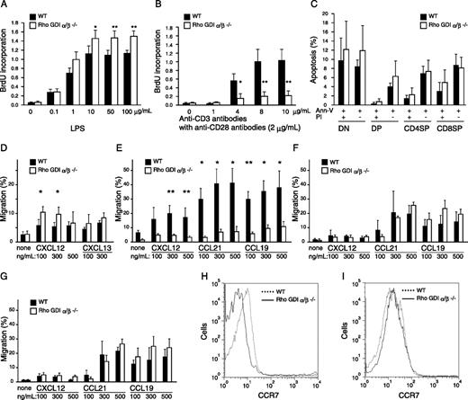 FIGURE 5. Effect of Rho GDIαβ deficiency on in vitro proliferation of splenic B and T cells, apoptosis of thymocytes, and migration activities of Rho GDIαβ−/− lymphocytes toward chemokines. A, The frequency of BrdU-positive B cells from the spleen of WT (▪) and Rho GDIαβ−/− mice (□) at 6 wk of age. B cells are cultured for 2 days, treated with LPS at the indicated concentrations, and pulsed with BrdU for 6 h. Incorporation of BrdU was measured as OD by ELISA. ∗, p < 0.05; ∗∗, p < 0.01. B, The frequency of BrdU-positive CD4+ SP T cells from the spleen of WT and Rho GDIαβ−/− mice at 6 wk of age. T cells are treated with anti-CD3 Abs at the indicated concentrations in the presence of 2 μg/ml anti-CD28 Abs and pulsed with BrdU. ∗, p < 0.05; ∗∗, p < 0.01. C, Apoptosis of thymocytes from WT and Rho GDIαβ−/− mice. Thymocytes of DN, DP, CD4+ SP, and CD8+ SP populations from 4-wk-old mice (n = 5) are stained with propidium iodide (PI) and annexin V (Ann-V)-FITC, and analyzed by flow cytometry. D, Migration of B cells from the spleen in response to CXCL12 and CXCL13. B220+ cells from WT or Rho GDIαβ−/− mice at 6 wk of age are used in transwell chemotaxis assays to assess their chemotactic properties toward the medium supplemented with 100, 300, and 500 ng/ml of each chemokine. ∗, p < 0.05. Bars show the mean SD (n = 4/group). E, Migration of T cells from the spleen in response to the chemokines. CD4+CD8+CD11b− T cells from WT or Rho GDIαβ−/− mice at 7–9 wk of age are used in Transwell chemotaxis assays. T cells from Rho GDIαβ−/− mice show a significantly reduced responsiveness to CXCL12 (n = 5), CCL21 (n = 4), and CCL19 (n = 4) compared with those from WT mice. ∗, p < 0.01; ∗∗, p < 0.001. F and G, Migration of CD4+ SP cells (F) and CD8+ SP cells (G) from the thymus in response to CXCL12, CCL21, and CCL19 at indicated concentrations. H and I, Immune-fluorescent profiles of CCR7 receptors in T cells from the spleen (H) and CD4+ SP thymocytes (I) from WT and Rho GDIαβ−/− mice (n = 6) at 4–7 wk of age.
