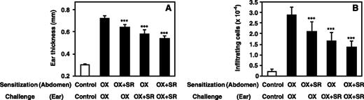 FIGURE 6. The effects of SR144528 on the swelling and the infiltration of tissues by leukocytes in mouse ear with contact dermatitis. A, The effects of SR144528 on oxazolone-induced ear swelling. Twenty-four hours after oxazolone (100 μg) was applied to sensitized mice, ear thickness was measured using a micrometer. SR144528 (30 μg) was applied immediately after the sensitization with oxazolone (500 μg) and/or challenge with oxazolone (100 μg). The data are the means ± SD of eight determinations. ∗∗∗, p < 0.001 (compared with oxazolone alone). B, The effects of SR144528 on oxazolone-induced infiltration by leukocytes. The number of infiltrating cells in the specimen (a cross-section prepared from the central part of the auricle) was estimated by microscopy. OX, Oxazolone; SR, SR144528. The data are the means ± SD of eight determinations. ∗∗∗, p < 0.001 (compared with oxazolone alone).