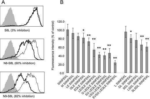 FIGURE 3. TPPII knockdown reduces Ag presentation from long peptide precursors. Hela-Kb cells were transfected with siRNA specific for TPPII, or with control siRNA. Two days later, the cells were transfected with plasmids expressing, as ubiquitin C-terminal fusions, the peptide SIINFEKL or N-terminally extended precursors of SIINFEKL as well as GFP. One day later, the cells were stained with 25.D1.16 (specific for SIINFEKL bound to H-2Kb) and analyzed by flow cytometry, gating on GFP. A, Traces of GFP-positive cells treated with TPPII siRNA (thick lines) or control siRNA (thin lines) transfected with plasmids expressing SIINFEKL (top panel), EVSGLEQLE-SIINFEKL (N8-SIINFEKL, a 16 mer; middle panel) EVSGLEQLE-SIINFEKL (N9-SIINFEKL, a 17 mer; bottom panel). Shaded traces: cells transfected with empty vector. Data shown are representative of at least three experiments. B, Hela-Kb cells were transfected with siRNA and plasmids as in A. The plasmids expressed SIINFEKL with the indicated N-terminal extensions. Shown are mean fluorescent intensities as a percent of control-transfected cells (average ± SD for at least three experiments per sample). Statistically significant differences between TPPII knockdown and control siRNA are indicated with ∗ (0.01<p < 0.05; Student t test) or ∗∗ (p < 0.01, Student t test).