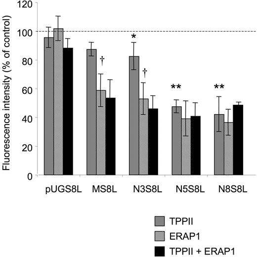 FIGURE 4. ERAP1 is more important than TPPII in trimming N-extended SIINFEKL precursors. Hela-Kb cells were transfected with siRNA specific for TPPII, ERAP1, or both, or with control siRNA. After 2 days, the cells were transfected with plasmids expressing as ubiquitin fusions SIINFEKL, or N-extended SIINFEKL precursors as indicated. One day later, the cells were stained with 25.D1.16 (anti-H-2Kb-SIINFEKL) and analyzed by flow cytometry. Shown are mean fluorescent intensities as a percent of control-transfected cells (average ± SD for at least three experiments per sample). Statistically significant differences between TPPII and control siRNA are indicated with ∗ (0.01 < p < 0.05, Student t test) or ∗∗ (p < 0.01); statistically significant differences between TPPII and ERAP1 siRNA are indicated with “†” (p < 0.01). There was no statistically significant difference in presentation between ERAP1 siRNA, and ERAP1 + TPPII siRNA (p > 0.05).