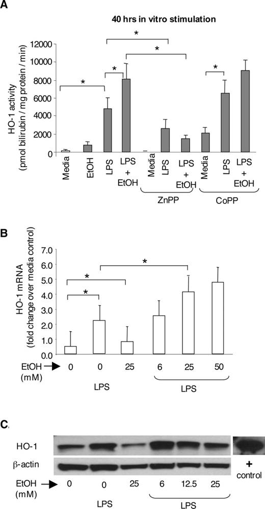 FIGURE 2. HO-1 activity is up-regulated by ethanol. A, Monocytes were stimulated for 40 h with EtOH (25 mM), LPS (1 μg/ml), ZnPP (20 μM), CoPP (50 μM), or their combination, as indicated. Cells were collected and HO-1 activity was measured as described in Materials and Methods. Data are mean values ± SD of 12 experiments. The p values were determined by Wilcoxon signed-rank nonparametric data analysis. B, Macrophages (RAW 264.7 cells) were stimulated with LPS (1 μg/ml) in the presence or absence of ethanol (EtOH; 25 mM) for 4 h and analyzed for HO-1 mRNA by real-time PCR. The levels of HO-1 were adjusted to the levels of housekeeping 18S gene and shown as fold increase over the medium control (n = 6). C, Macrophages (RAW 264.7 cells) were stimulated with LPS (1 μg/ml) in the presence or absence of ethanol (EtOH, as indicated) for 40 h. Equal amounts of total cellular protein were separated in 10% polyacrylamide gel and analyzed for HO-1 by Western blot with anti-HO-1 Ab. Whole rat liver lysate was used as positive control, and β-actin was detected as a loading control. A representative experiment of n = 5 is shown.