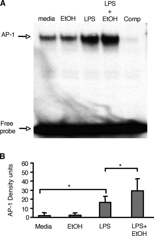FIGURE 3. Transcription factor AP-1 is up-regulated by ethanol in human monocytes. Monocytes were stimulated with LPS (0.1 μg/ml), EtOH (25 mM), or their combination. Nuclear extracts (5 μg/group) were evaluated by EMSA using a consensus oligonucleotide from AP-1. The nuclear extract of LPS-stimulated sample was used for competition with 10× nonradioactive AP-1 oligonucleotide (comp). A, One representative blot from four experiments is shown. B, Densitometric analysis of four EMSA blots and average ± SD are shown (∗, p < 0.05 by ANOVA).