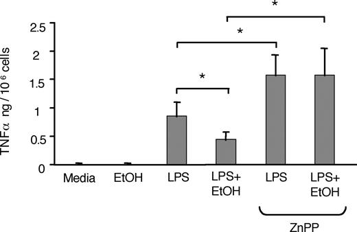 FIGURE 4. Ethanol-induced attenuation of TNF-α is prevented by HO-1 inhibition. Monocytes were stimulated with EtOH (25 mM), LPS (0.1 μg/ml), or their combination in the presence or absence of ZnPP (20 μM), and TNF-α was measured after 16 h in the cell-free supernatants. Data are mean values ± SD of eight experiments.