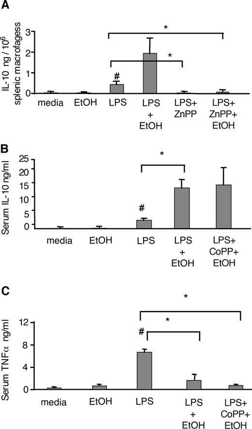 FIGURE 8. Acute ethanol augments IL-10 and inhibits TNF-α in mice in vivo. Adult C57BL/6 mice were injected i.p. with saline, ZnPP (50 μM/kg body weight in 300 μl of saline), or CoPP (50 μM/kg body weight in 300 μl of saline) 2 h before ethanol injection. Ethanol (20%, v/v) in 200 μl of saline or saline alone was administered i.p. 1 h before LPS (E. coli 0.5 μg/g body weight in 200 μl of saline). Mice were sacrificed 90 min after LPS stimulation. Splenic macrophages were tested for ex vivo IL-10 production 16 h later (A). Serum IL-10 (B) and TNF-α (C) levels were determined. Data are mean values ± SD, and p values were determined by Student’s t test from three mice per group (#, p < 0.05 compared with medium; ∗, p < 0.05 compared with LPS).