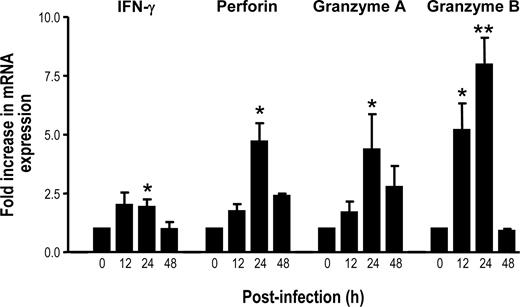 FIGURE 2. DV up-regulates expression of effector molecules by activated NK cells. Total RNA was extracted from livers collected at the indicated times after infection with DV, and 5-μg samples were used for first-strand cDNA synthesis. The first-strand cDNA together with specific primer pairs for IFN-γ, perforin, granzyme A, or granzyme B were then subjected to real-time PCR. The relative expression of IFN-γ, perforin, granzyme A, or granzyme B mRNA is expressed as the fold induction over uninfected mice. Data are presented as means ± SEM from three independent experiments, three mice per time point. ∗, p < 0.05 compared with uninfected mice; ∗∗, p < 0.05 compared with uninfected mice.