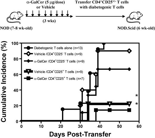 FIGURE 5. CD4+CD25+ T cells from α-GalCer- or vehicle-treated mice retain the ability to transfer protection against T1D. NOD mice (7–8 wk old) were treated with multi-low-dose α-GalCer (5 μg/dose, every other day for 3 wk) or vehicle. CD4+CD25+ T cells (2 × 105) and CD4+CD25− T cells (2 × 105) were sorted from α-GalCer- or vehicle-treated mice and cotransferred (i.v.) with diabetogenic T cells (2 × 106) from newly diagnosed diabetic NOD donor mice into 6- to 7-wk-old NOD.Scid recipients. ∗, The incidence of T1D is significantly different (p < 0.05; Kaplan-Meier survival analysis) from that obtained upon cotransfer of CD4+CD25− T cells with diabetogenic T cells.