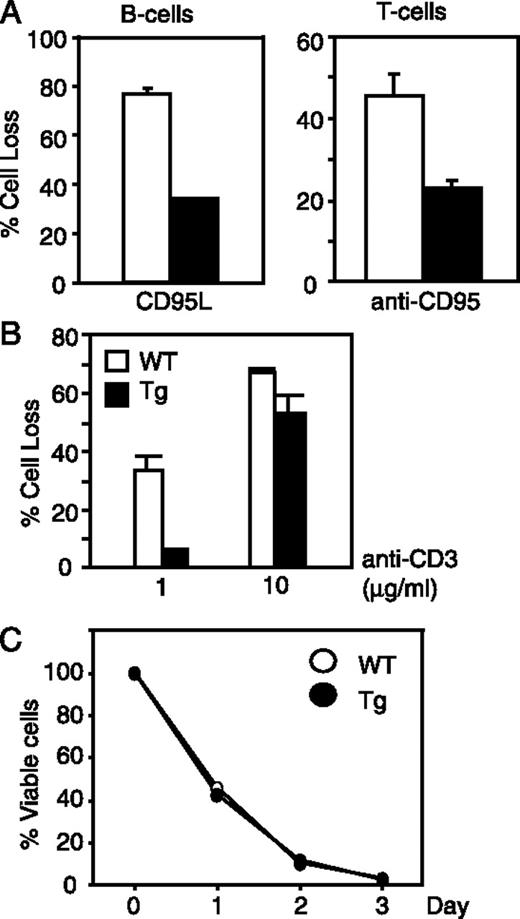FIGURE 2. Protection against death receptor-induced PCD in Tg lymphocytes. A, Purified WT (□) or Tg (▪) B cells were tested for their response to CD95L-induced apoptosis (left). Con A-activated T cells were tested for response to anti-CD95 (Jo2)-induced apoptosis (right). Cell death was quantified by flow cytometry using annexin V and PI staining 6 h poststimulation. Percent cell loss was calculated as described in Materials and Methods. B, Activated CD4+ T cells were tested for response to anti-CD3 (2C11) induced PCD. Cell death was quantified using annexin V and PI costaining by flow cytometry 6 h poststimulation. C, Purified B cells were cultured ex vivo without stimulation. Cell death was determined flow cytometrically by PI staining at the indicated times. All results are representative of at least three independent experiments.