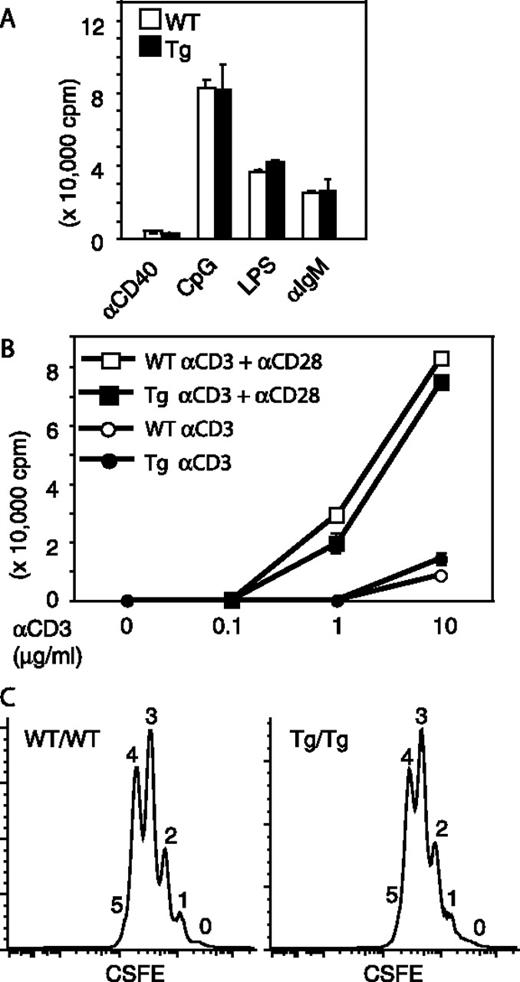 FIGURE 5. Normal lymphocyte activation in MC159-Tg mice. A, Purified B cells were treated with the anti-CD40 (0.5 μg/ml), CpG oligonucleotides (1 μg/ml), LPS (10 μg/ml), or anti-IgM (20 μg/ml) for 2 days. Cells were pulsed with [3H]thymidine for 8 h and harvested to measure thymidine uptake. Measurement of thymidine uptake on day 3 poststimulation revealed similar results (data not shown). B, Purified T cells were stimulated with the indicated concentrations of plate-bound anti-CD3 or anti-CD3 plus 10 μg/ml anti-CD28 Abs. After 24 h, the cells were pulsed with [3H]thymidine for 20 h and thymidine uptake was measured by a 96-well harvester. Results were representative of three independent experiments. C, CSFE dilution revealed similar proliferation in Tg T cells. Purified T cells from WT/WT and Tg/Tg mice were stimulated with anti-CD3 and anti-CD28 Abs for 2 days and CSFE fluorescence was determined by flow cytometry. The numbers above the peaks represent the number of cell division. WT/WT: 0 = 1.3%, 1 = 6.2%, 2 = 16.8%, 3 = 38.4%, 4 = 32.3%, 5 = 4.1%. Tg/Tg: 0 = 2.0%, 1 = 6.5%, 2 = 18.5%, 3 = 37.7%, 4 = 30.9%, 5 = 4.4%. Similar results were obtained with Tg/WT cells and when analyses were performed on day 3 postactivation (data not shown).