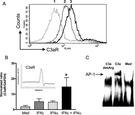 FIGURE 2. Expression and signaling of C3aR in KCs. A, KCs were preincubated with either C3a (2.5 μg/ml) or PBS for 30 min prior to staining of C3aR. Binding specificity of anti-C3aR mAb (clone 8H1) is demonstrated by the down-modulation of the binding epitope of mAb (clone 8H1) following C3a preincubation. Dotted line (1), solid line (2), and solid bold line (3) represent isotype control, C3aR staining after preincubation with C3a, and C3aR staining without preincubation with C3a, respectively. One representative result of three experiments is shown. B, KCs were stimulated with indicated cytokine(s) for 6 h (mRNA), and C3aR expression was determined by qRT-PCR. The melting curve analysis depicts specificity of the amplified product in qRT-PCR (inset). C, KCs were stimulated with C3a or C3a-desArg for 30 min at 37°C. Nuclear extracts were prepared and analyzed for the presence of AP-1 transcription factor by EMSA. C3a, but not C3a-desArg, induced AP-1 as demonstrated by the binding of labeled double-stranded oligonucleotides containing the AP-1 binding site (n = 3).