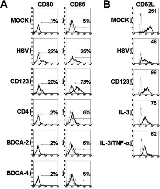 FIGURE 5. Cross-linking CD123, but not BDCA-2, BDCA-4, or CD4 on PDC induces the up-regulation of CD80 and CD86 and the down-regulation of CD62L. BDCA-2, BDCA-4, CD4, and CD123 were cross-linked on PBMC as described in Materials and Methods. A, PBMC (2 × 106 cells/ml) were stimulated with HSV-1 (MOI = 1) for 18 h. PMBC were surface stained with CD123 PE, HLA-DR PerCP, and CD11c allophycocyanin (for BDCA-2, BDCA-4, CD4 cross-linking) or BDCA-4 PE, HLA-DR PerCP, and CD11c allophycocyanin (for CD123 cross-linking) to gate on PDC, along with CD80 FITC or CD86 FITC. Histogram overlays show IgG1 isotype control (dashed line) and CD80 (left column) or CD86 (right column) expression (black line). The percentage of PDC positive for CD80 or CD86 is shown in the upper right corner of each histogram. One representative experiment of four to six is shown. B, CD123 was cross-linked on PBMC (2 × 106 cells/ml) as described and cells were incubated for 6 h. Alternatively, PBMC were stimulated with HSV-1 (MOI = 1), IL-3 (100 IU/ml), or IL-3 and TNF-α (100 IU/ml) for 6 h. Cells were surface stained with or BDCA-2 PE and BDCA-4 allophycocyanin to gate on PDC, along with CD62L FITC. Histogram overlays show IgG2a isotype control (dashed line) and CD62L expression (black line). The MFI for CD62L is shown in the upper right corner of each histogram. One representative experiment of three is shown.