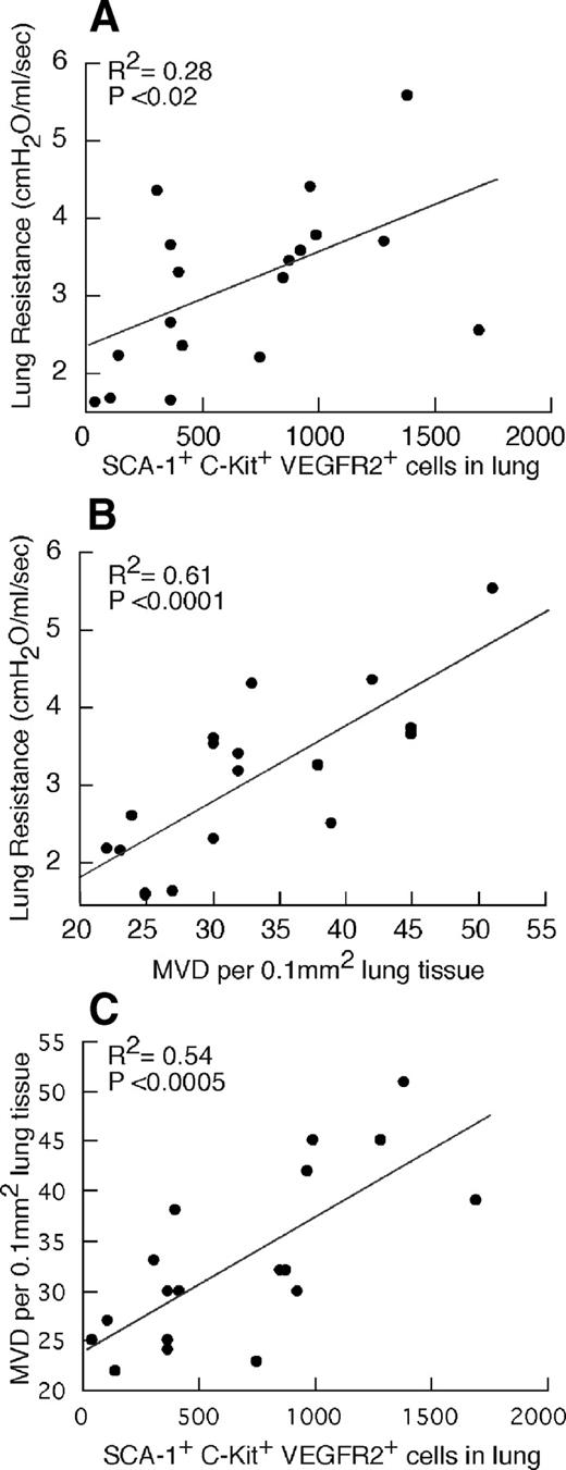 FIGURE 8. Correlations between EPC recruitment, airway resistance, and lung MVD during acute OVA challenge. Correlations between airway resistance and EPC recruitment into the lungs (A), airway resistance and lung neovascularization (B), and lung neovascularization and EPC recruitment into the lungs (C) are shown. Each dot represents data form one individual mouse.