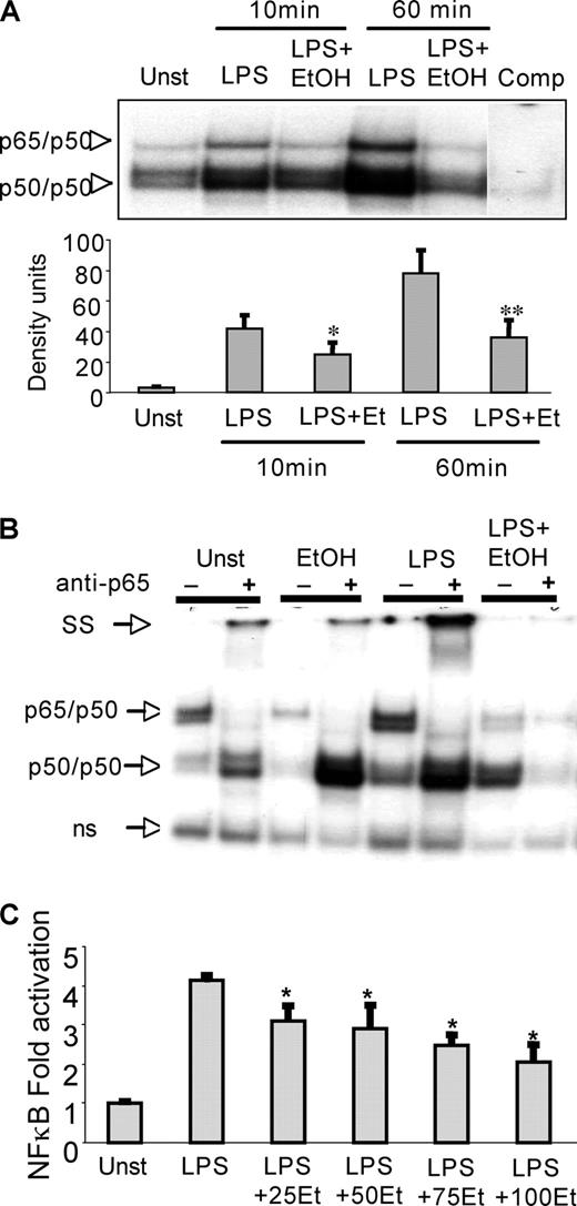 FIGURE 1. Acute alcohol decreases LPS-induced NF-κB binding and transactivation in monocytic cells at indicated time points. A, CHO-CD14 cells were stimulated with LPS (100 ng/ml) in the presence or absence of 25 mM ethanol (EtOH) at the times indicated. NF-κB was detected in the nuclear extracts by EMSA using a 32P-labeled dsNF-κB oligonucleotide. A 20-fold excess of unlabeled oligonucleotide was included as a cold competitor (Comp). Data show mean density ± SE of four experiments. B, Supershift analysis was conducted using anti-p65 Ab for 20 min. The gel is representative of three experiments that showed similar results. SS, supershifted complex; ns, nonspecific; Unst, unstimulated. C, RAW 264.7 macrophages were transiently transfected with NF-κB reporter gene constructs carrying five tandem copies of the NF-κB binding site in front of the firefly luciferase gene and the Renilla luciferase construct. At 24 h after transfection, cells were treated with either LPS alone or various concentrations of ethanol (Et) in the presence of LPS (100 ng/ml) for 8 h. Cells were then lysed to determine firefly luciferase activity and normalized to the Renilla luciferase activity. Data represent the fold induction of the luciferase gene as compared with the unstimulated control of a total of n = 3 experiments. *, p < 0.02; **, p < 0.04 compared with LPS).