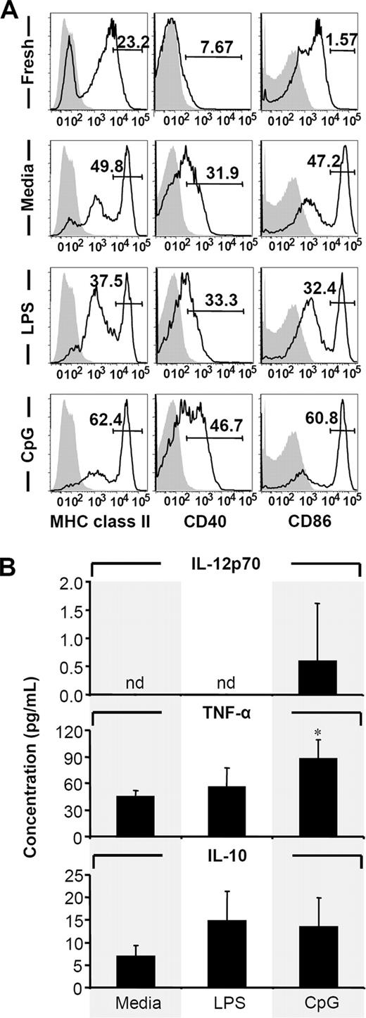FIGURE 4. Induction of colonic DC maturation and cytokine expression by TLR ligands. Freshly isolated cells were incubated at 4°C or 37°C in complete medium. LPS and CpG ODN were used as additional stimulus where indicated. A, After overnight incubation, cells were stained for CD11c, MHC class II, CD40, and CD86 by FACS. Numbers represent percent of MHC class IIhigh, CD40+, or CD86high cells. White histograms, specific staining of viable CD11c+ cells; gray histograms, appropriate isotype controls. Representative results from three experiments are shown. B, IL-12p70, TNF-α, and IL-10 secreted by colonic DCs (2 × 104 cells/well in 200 μl) cultured for 36 h with medium alone, LPS, or CpG ODN measured by ELISA. Results are representative of three experiments and are presented as mean ± SD. ∗, p < 0.05 relative to corresponding medium controls. nd, Not detectable.